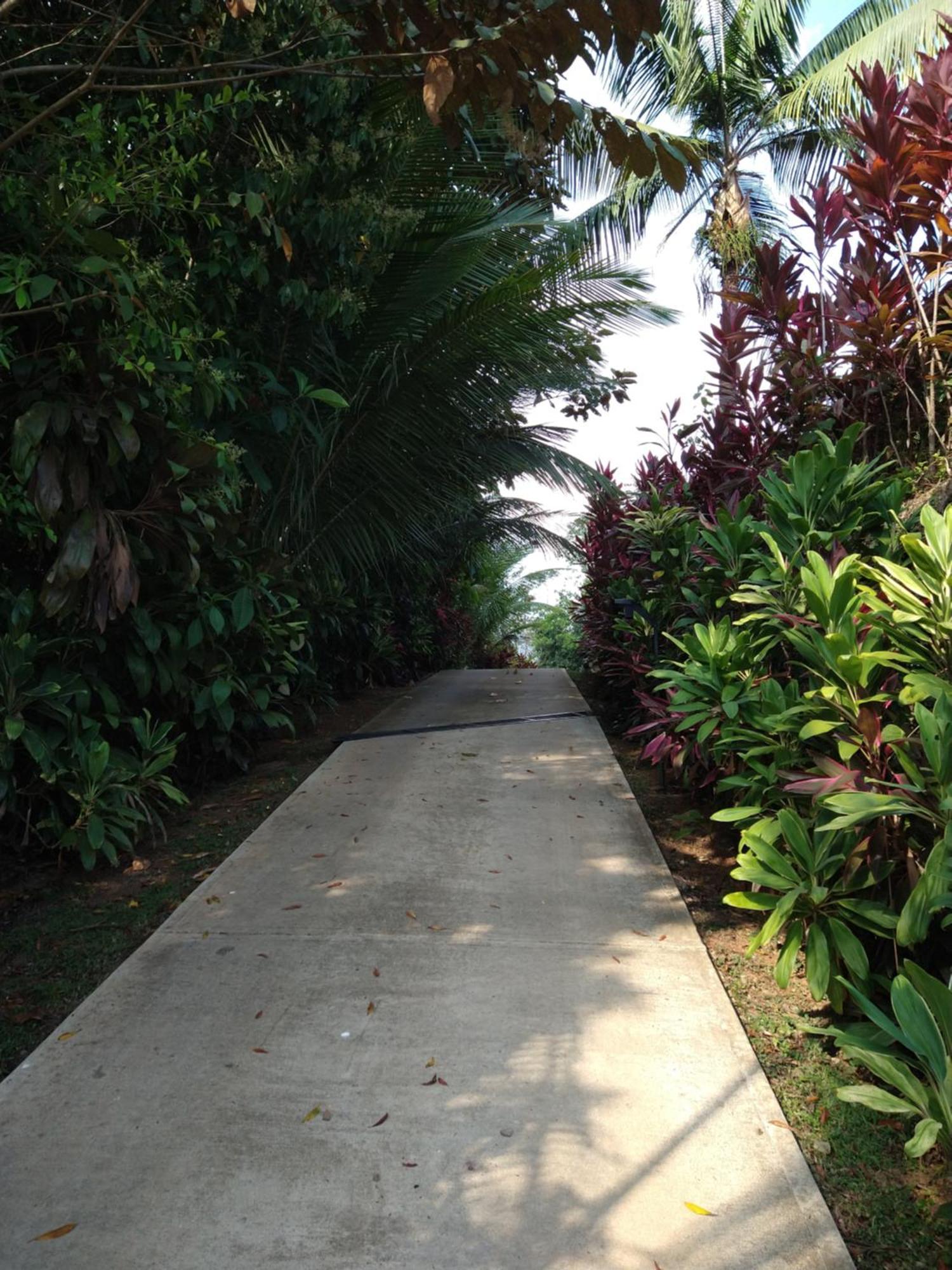 Casas Buenas Brisas Villa Ojochal Buitenkant foto