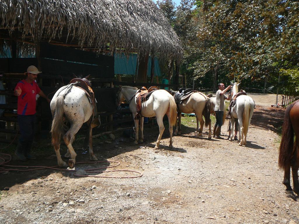 Casas Buenas Brisas Villa Ojochal Kamer foto